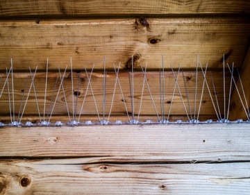 GĘSTE KOLCE NA PTAKI KOLCE PRZECIW PTAKOM ANTYPTAK