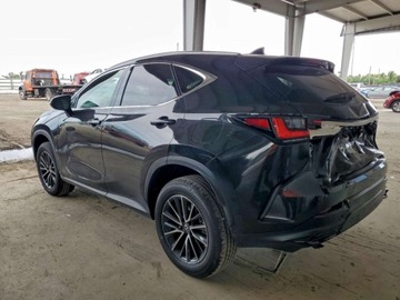 Lexus NX II 2024 Lexus NX 250 Base 2024 2.5 Benzyna 203KM, zdjęcie 1