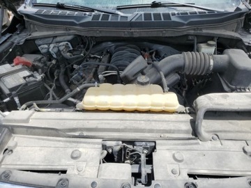 Ford 2021 Ford F150 2021, V8 5.0L, od ubezpieczalni 5.0 Benzyna 390KM, zdjęcie 10