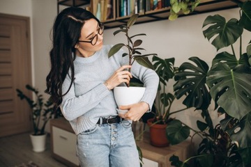 BIGOS Universal Earth Monstera Flowers 15л Биогумус Керамзит Перлит