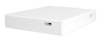 DASZEK DADANT / WIELKOPOLSKI 12r wysok NIEMALOWANY