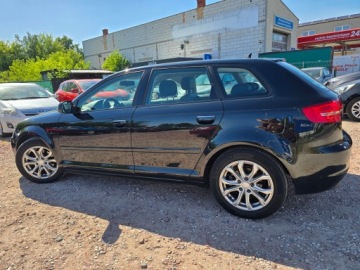 Seat Leon III ST Facelifting 1.5 EcoTSI 150KM 2012 Audi A3 (8P) 1.6 TDI 105 KM skóra nawigacja climatronic alufelgi gwarancja, zdjęcie 8