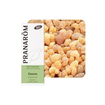EKO olejek eteryczny KADZIDŁOWIEC / Kadzidło / Frankincense Olibanum 5 ml