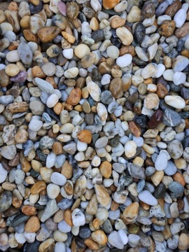 LAS W SŁOIKU OTOCZAK MIX MIODOWY RZECZNY 0,5 KG