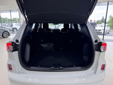 Ford Kuga III SUV Plug-In 2.5 Hybrid 190KM 2023 Ford Kuga ST Line, Kamera cofania, 1 właściciel, F, zdjęcie 15