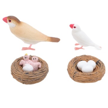 4 шт. Фігурки щодо циклу життя птаха Finch для дітей ПВХ Р.8