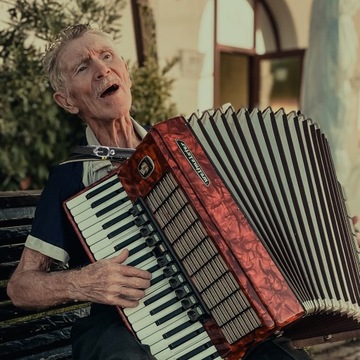 РЕМЕНЬ-АККОРДЕОН COOL BASS ПОПЛЕЧНЫЕ РЕМНИ