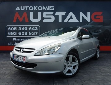 Peugeot 307 CC 2.0 Benzyna 136