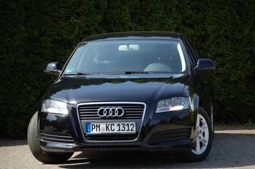 Audi A3 8P Hatchback 3d 1.6 102KM 2010 Audi A3 Lift Automat 5drzwi1.6MPI Klimatronic Alu Lato+Zima, zdjęcie 7