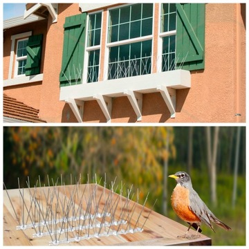 10x 50 см металлических шипов для голубей для птиц, плотных против нержавеющих птиц