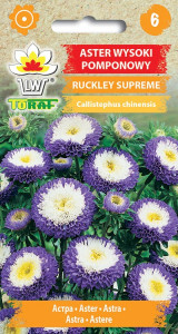 Aster wysoki pomponowy Ruckley Supreme nasiona FANTAZYJNE POMPONOWE KWIATY