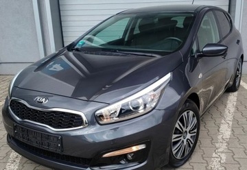 Kia Ceed II Hatchback 5d Facelifting 1.4 DOHC 100KM 2016 Kia Ceed Kia Ceed