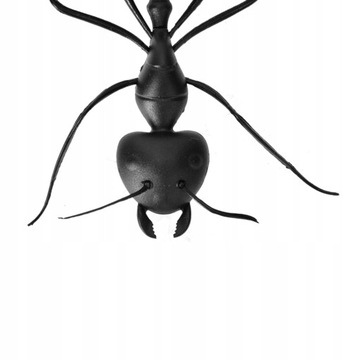 Хитрый игрушечный муравей на солнечной энергии