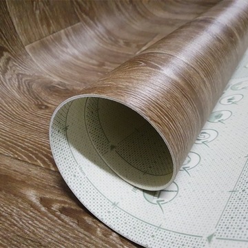 КОВЕР ДЛЯ ДОМА ПВХ EVOLUTION RAYMOND IV 2,5M