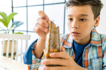 Ravensburger, Puzzle 3D Buildings: Эйфелева башня (12556)