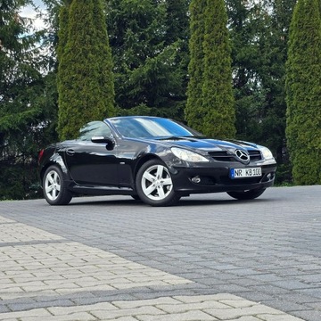 Mercedes SLK R171 Roadster 3.0 V6 (280) 231KM 2008 Mercedes SLK 280 R171 3.0 Benzyna 7G-TRONIC Sport, zdjęcie 14