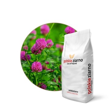 Koniczyna łąkowa ROZETA C/1 (fioletowa) 100g