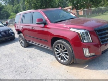 Cadillac Escalade III 2020 Cadillac Escalade 2020 Cadillac Escalade 4WD 4dr Premium Luxury 6.2 Benzyna, zdjęcie 1