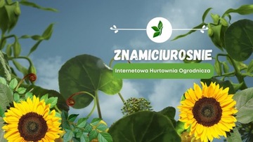 ЖИДКОЕ УДОБРЕНИЕ ДЛЯ ЗЕЛЕНЫХ РАСТЕНИЙ ПРОТИВ ХЛОРОЗА