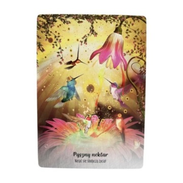 Мудрость колибри (карты + буклет)