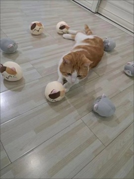 ПОДУШКА-ПУДИНГ С ТАЛИСНАМИ ДЛЯ БРОСОВ УЗОРЫ 3 В 1 одеяло для сна