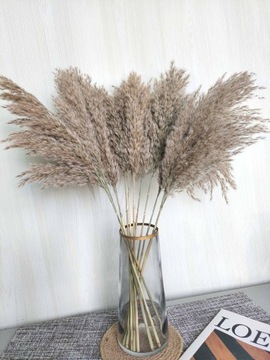 Сушеные декоративные пампасы из пампасов для букета ваз из декоративных трав