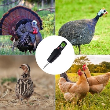 Электрическая птицеводная куртка для цыплят, уток и гусиный черный