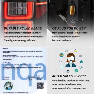 ФОНАР ЗАДНИЙ L+R LED VLAND SET ДЫМЧАТЫЙ FORD F150 F-150 2009-2014