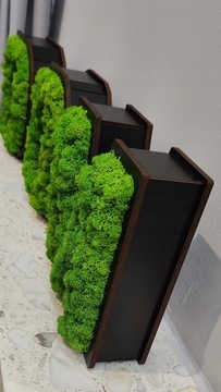 HOME 3D надпись, мох стоячий, ширина до 90 см, высота 21,5 см