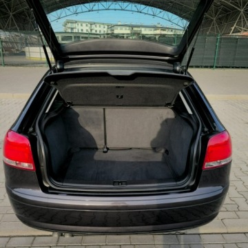 Audi A3 8P Hatchback 3d 2.0 TDI PD 170KM 2008 Audi A3 3-drzwiowe 2.0 Diesel 170KM, zdjęcie 16