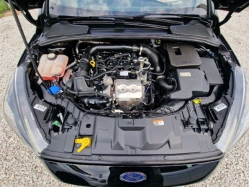 Ford Focus III Kombi Facelifting 1.0 EcoBoost 140KM 2017 Ford Focus ST-LINE 1.0 EcoBoost 140Ps Navi Ksenon Alu Piekny Gwarancja, zdjęcie 26