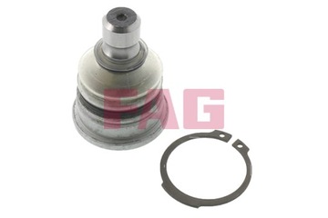 SWORZEN ZAWIESZENIA 825033810/FAG FAG