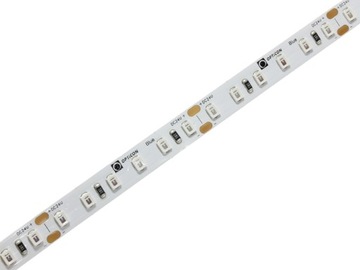 TAŚMA LED 24V DC Niebieski 9,6W/m 600 SMD 2835 IP20 8mm OPTICON