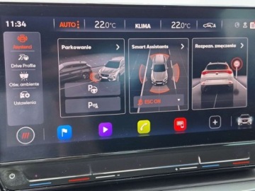 Cupra Formentor Crossover 1.5 TSI 150KM 2022 Cupra Formentor Niski Przebieg Kamera cofania 1.5 Benzyna 150KM, zdjęcie 16