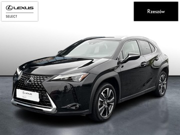Lexus UX Crossover Facelifting 2.0 250h 184KM 2023 Lexus UX 250h GPF Business 2WD