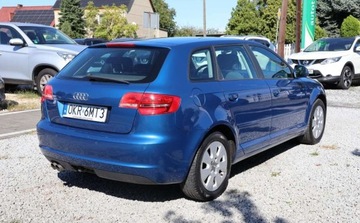 Audi A3 8P Hatchback 3d 2.0 TDI CR 140KM 2009 Audi A3 Sportback Czujniki parkowania , Klimatyzacja, Alu felgi , GWARANCJA, zdjęcie 3