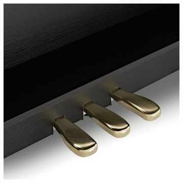 ЦИФРОВОЕ ПИАНИНО CASIO AP-470 BK