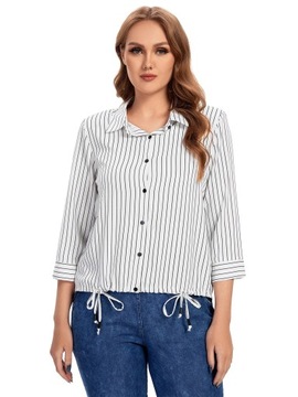 Women's Plus Size Shirt Spring Chic Elegant Shirt