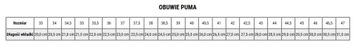 Кроссовки Puma Future Match FG/AG 107180 01/45