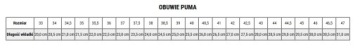 Buty Puma ULTRA PRO FG/AG 107422 01 r.42