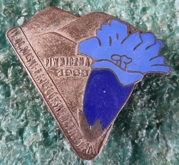 ODZNAKA IV RAJD GÓRSKI METALOWCÓW PIWNICZNA 1963