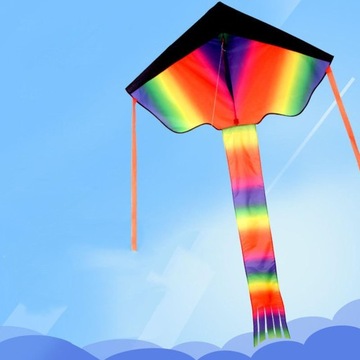 Треугольный кайт Дельта Кайт Взрослые Дети 110 см x 68 см