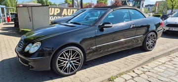Mercedes CLK W209 Coupe C209 1.8 (200 CGI) 170KM 2004 MERCEDES-BENZ CLK kabriolet (A209) CLK 200 CGI (209.343) 170 KM, zdjęcie 5
