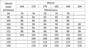 Mundur męski Nowy Wzór Policja Zamówienie indywidualne.