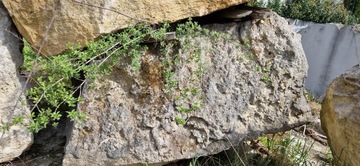 камни для сада