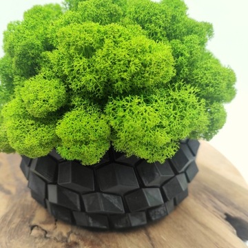 Вазон с мхом хроботек CHROBOTEK MOSS в черном горшке, 3D печать
