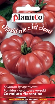 Pomidor Wysoki COSTOLUTO FIORENTINO nasiona 0,2g