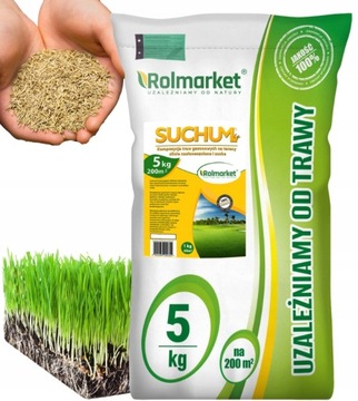 NASIONA TRAWA SAHARA odporna na suszę deptanie 5kg TRAWNIK NA TERENY SUCHE