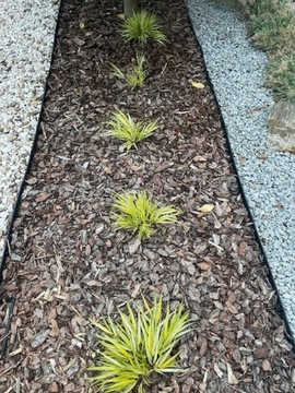 24x бордюра для газона Eco Patio 45 мм + 100 шт. бесплатных анкеров.