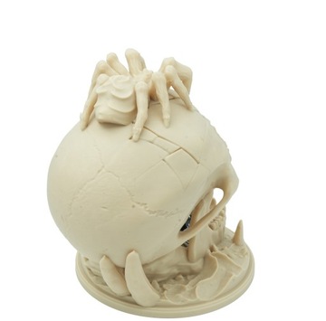 Череп «Поцелуй пустыни» с пауком - башня с кубиками - Череп «Поцелуй пустыни»